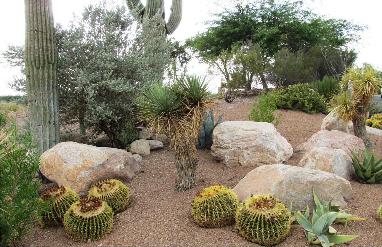 Semi-Arid, High-Elevation, Passive Irrigation Orchard